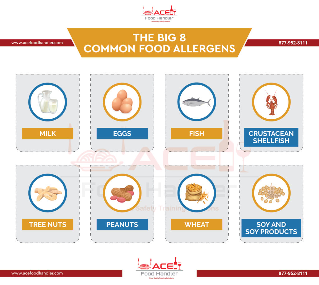 The Big 8 Common Food Allergens Ace Food Handler