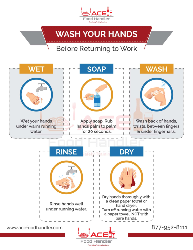 Food Handling - Handwashing