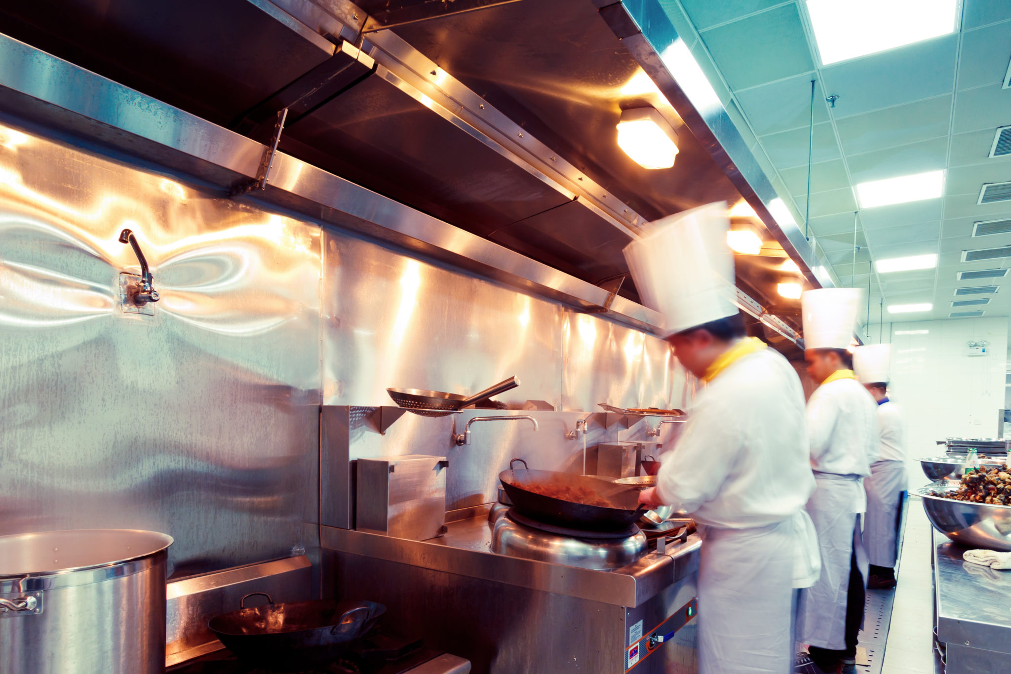 ACE Food Handler - Chefs cooking , Food Safety in Illinois