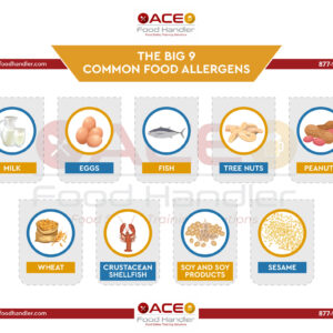 Food Allergen Course